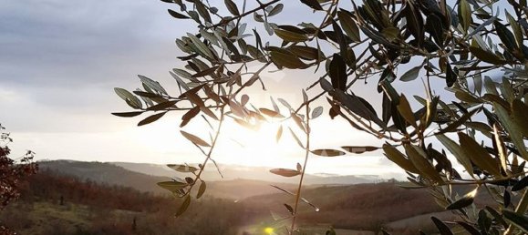 9 rooms House in Montegabbione, Italy No. 86157 19