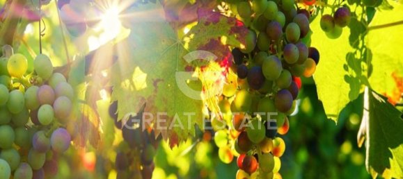 9 rooms House in Montegabbione, Italy No. 86157 17