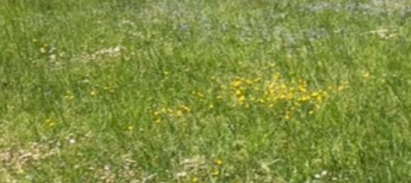 Grundstück in Ostricourt, France, Nr. 216594 3