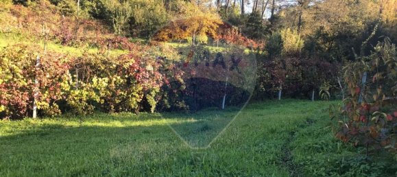 1 bedroom House in Marco de Canaveses, Portugal No. 29105 13