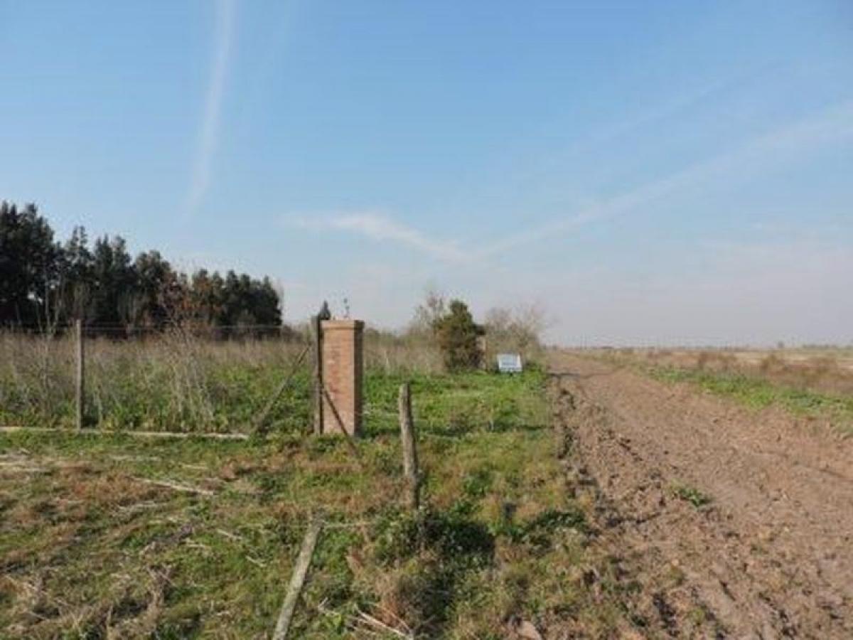 Terrain à Santa Fe, Argentina No. 43811