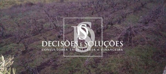 3 Schlafzimmer Villa in Braganca, Portugal, Nr. 184830 7