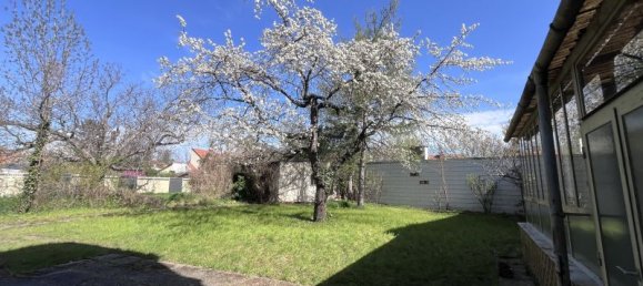 Terrain à Baden, Austria 319m² No. 167440 16