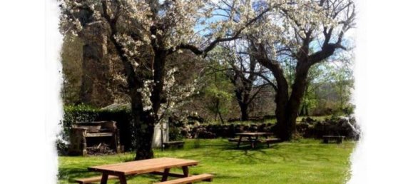 Studio in Castel del Piano, Italy No. 254742 3