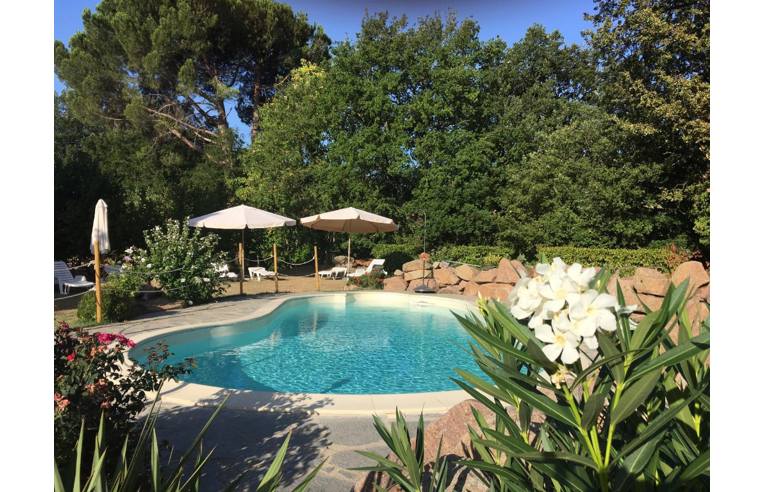 Studio in Castel del Piano, Italy No. 254742