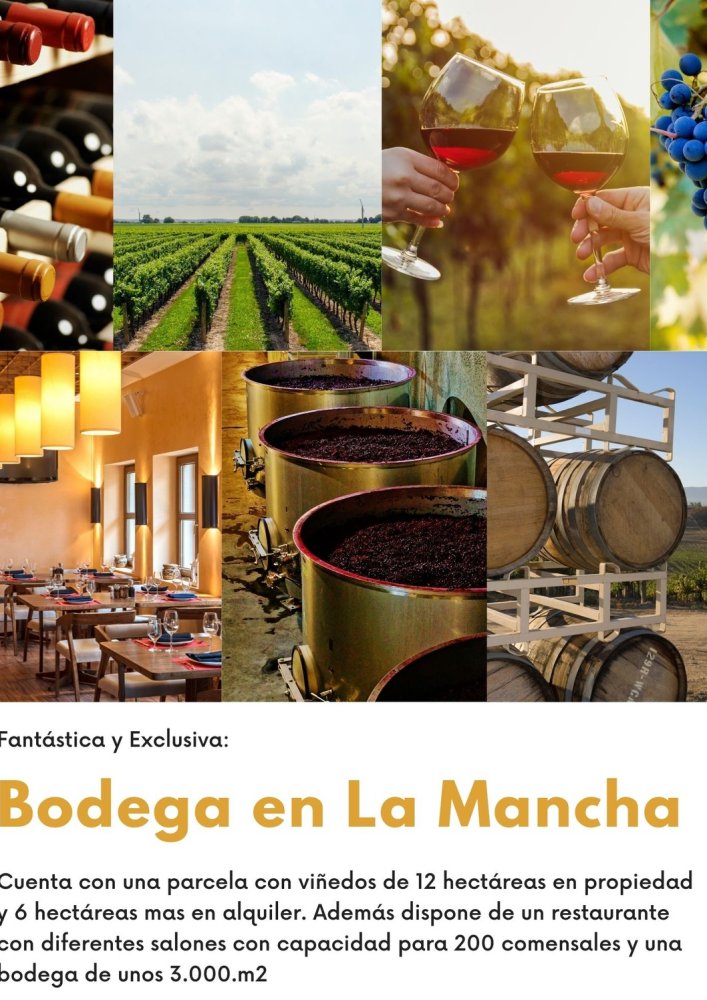  عقار تجاري في Herrera De La Mancha, Spain 1متر مربع رقم 992