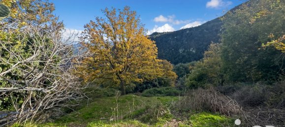 قطعة أرض في Santo-Pietro-di-Tenda, France 842متر مربع رقم 44213 5