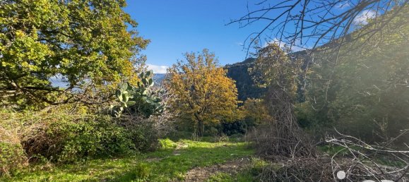 قطعة أرض في Santo-Pietro-di-Tenda, France 842متر مربع رقم 44213 12