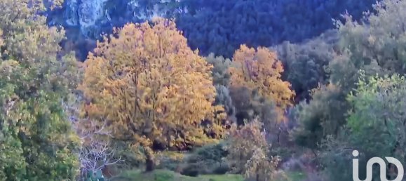 قطعة أرض في Santo-Pietro-di-Tenda, France 842متر مربع رقم 44213 18