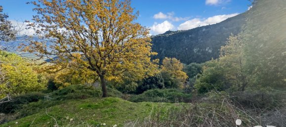 قطعة أرض في Santo-Pietro-di-Tenda, France 842متر مربع رقم 44213 13