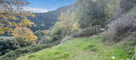 قطعة أرض في Santo-Pietro-di-Tenda, France 842متر مربع رقم 44213 4