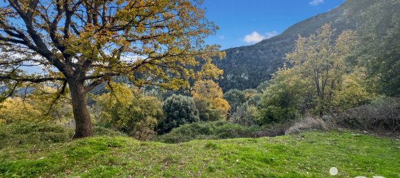 قطعة أرض في Santo-Pietro-di-Tenda, France 842متر مربع رقم 44213 6