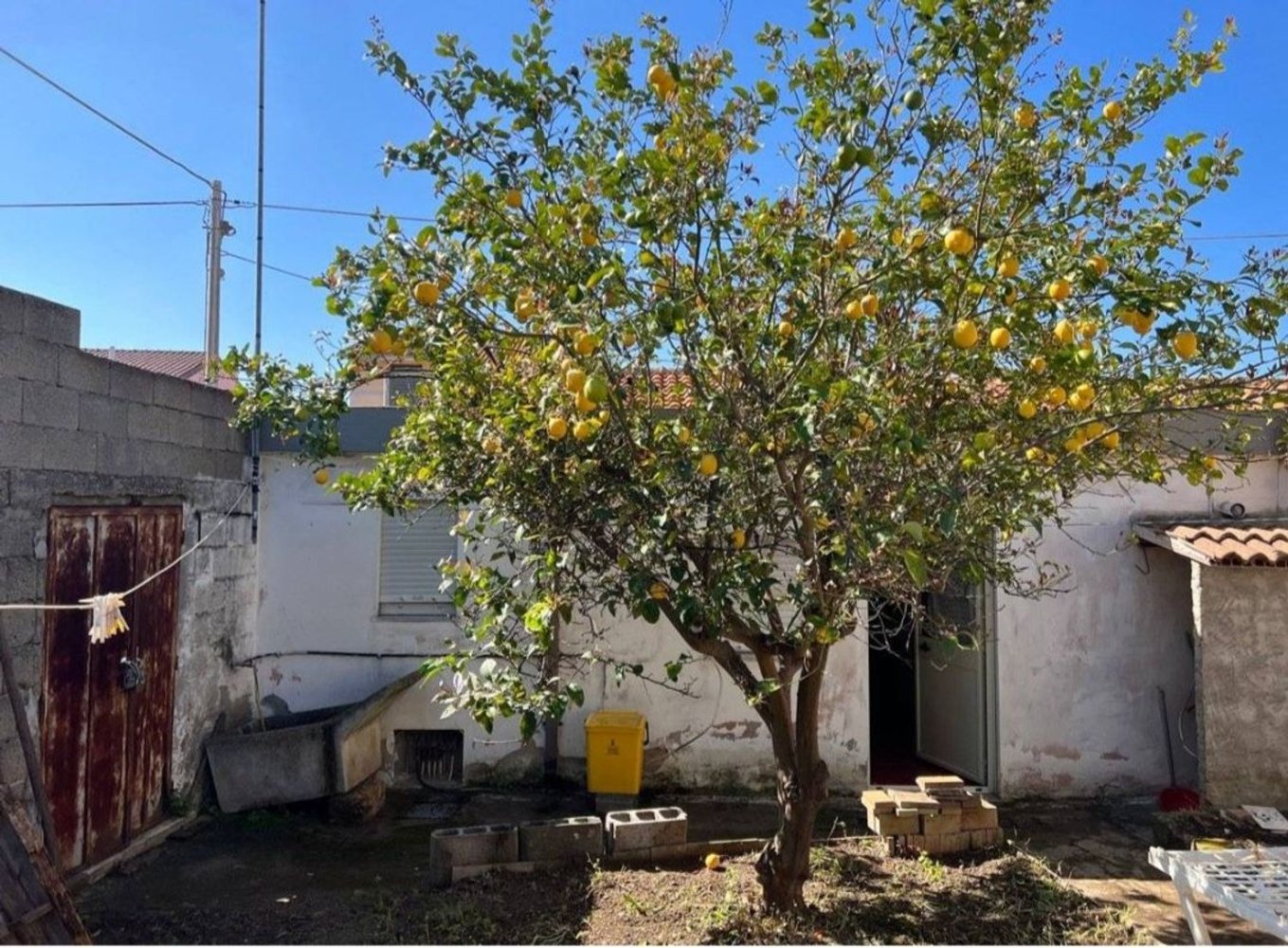 5-salle Maison à San Vero Milis, Italy No. 288615