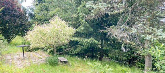 3 chambres Maison à Vogtlandkreis, Germany No. 245802 15