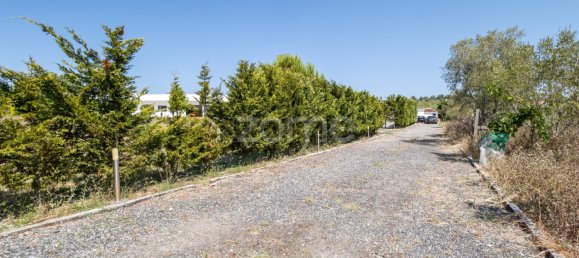 4 غرف نوم منزل في Sintra, Portugal رقم 345628 29