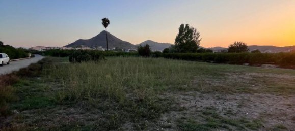 2208m² Land in El Esparragal, Spain No. 153027 3