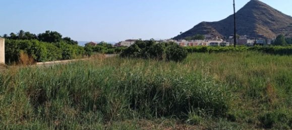 2208m² Land in El Esparragal, Spain No. 153027 4