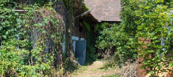 4-salle Maison à Ebergassing, Austria No. 132526 4