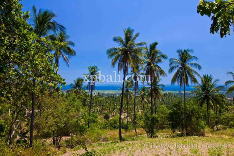 Terrain à West Nusa Tenggara, Indonesia 13652m² No. 4153