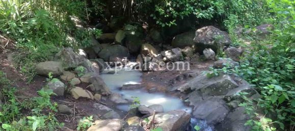 Terrain à West Nusa Tenggara, Indonesia 13652m² No. 4153 4