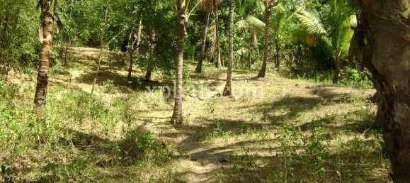 Terrain à West Nusa Tenggara, Indonesia 13652m² No. 4153 5