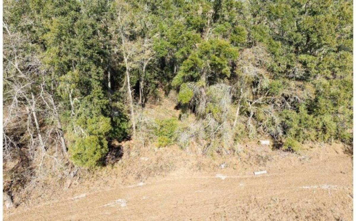  Land in Pinetta, USA No. 526456