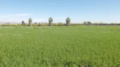 101428m² Land in Alicante, Spain No. 243986