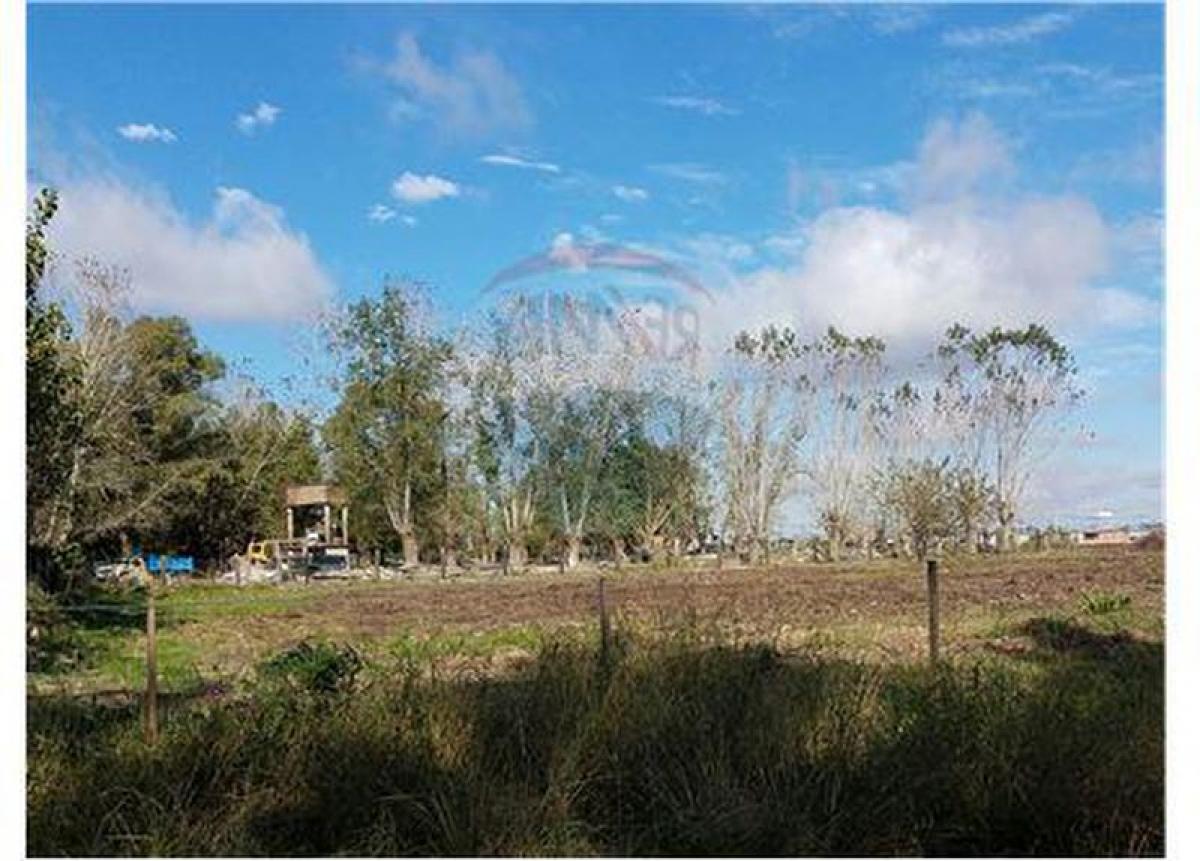  Land in Ezeiza, Argentina No. 36168