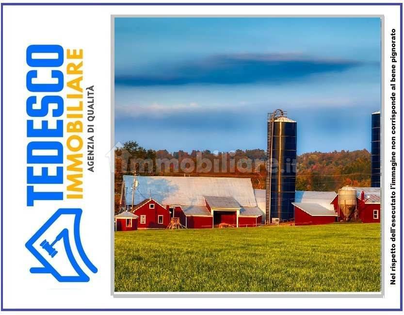 1 room Warehouse in Luogosano, Italy No. 307889