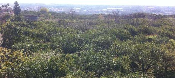 1-Zimmer Grundstück in Fiumefreddo di Sicilia, Italy, Nr. 177692 4