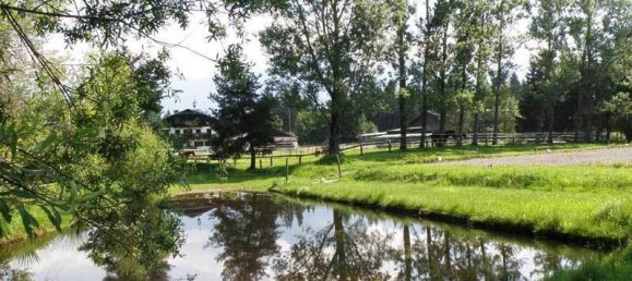 39885m² Land in Zell am See, Austria No. 234805 3