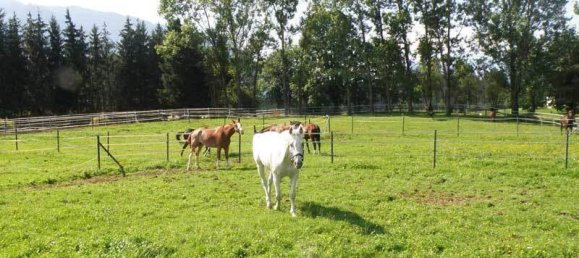 39885m² Land in Zell am See, Austria No. 234805 2