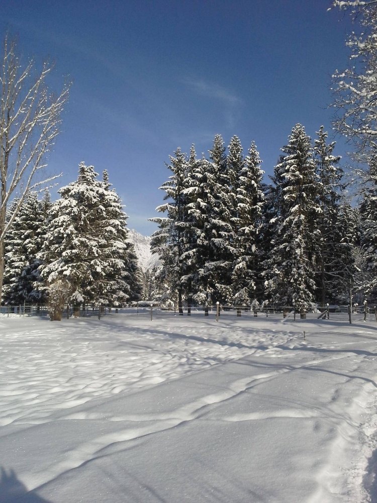 39885m² Land in Zell am See, Austria No. 234805