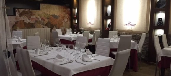 300m² Commercial property in Sallent de Gallego, Spain No. 162645 7