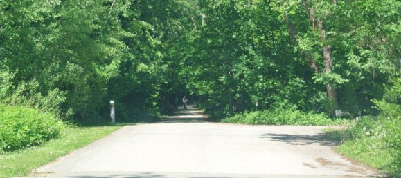 5 rooms House in Himberg, Austria No. 209334 10