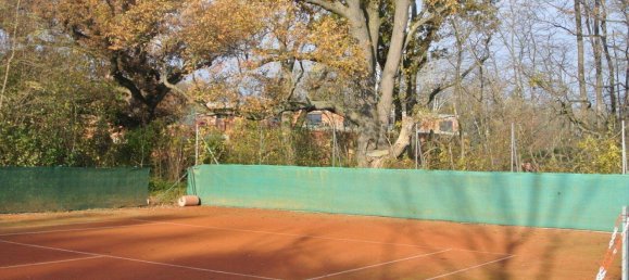 5 rooms House in Himberg, Austria No. 209334 9