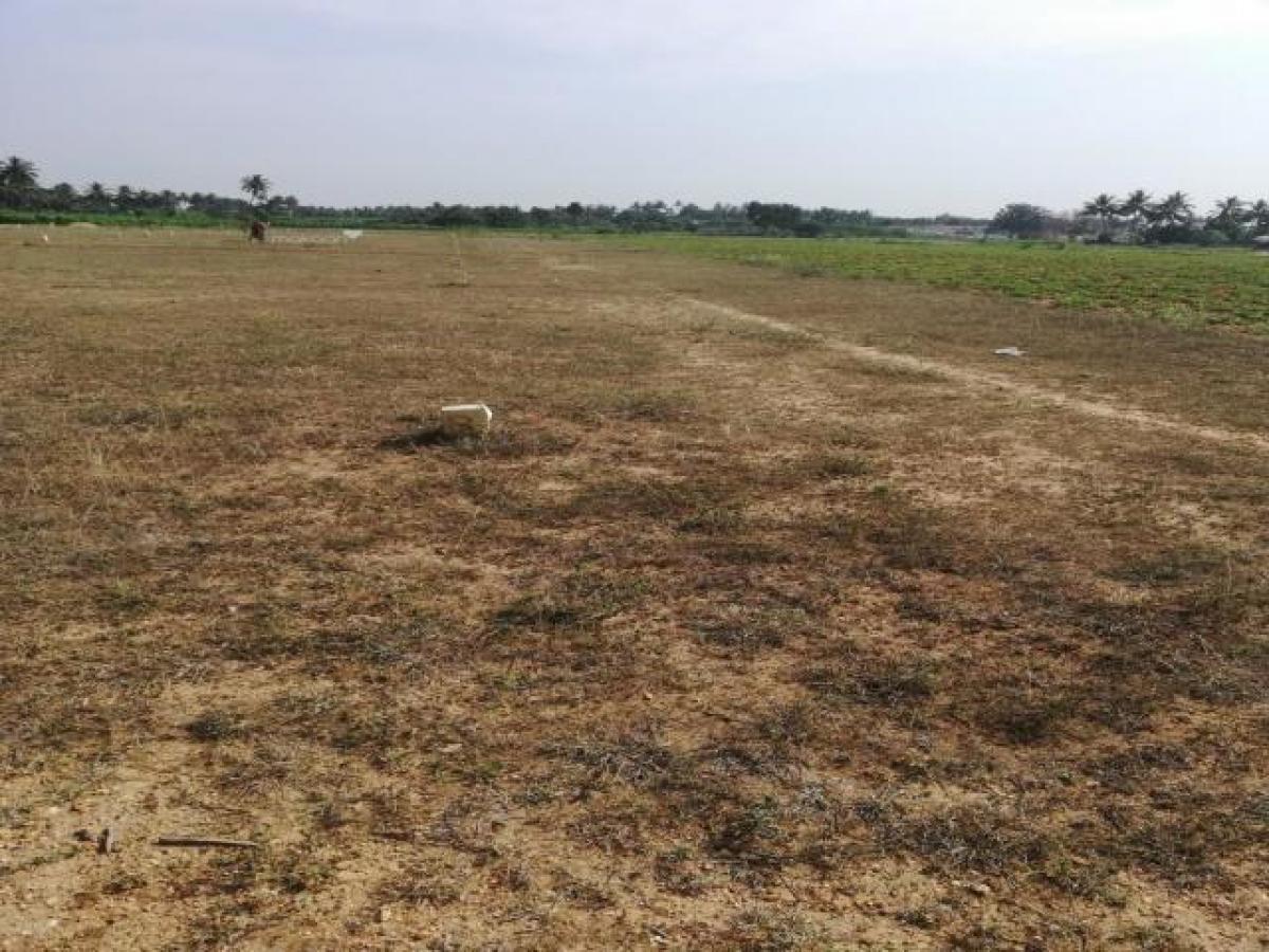 Grundstück in Coimbatore, India, Nr. 34471