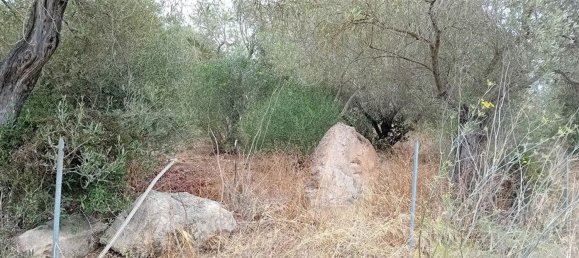  Land in Alghero, Italy No. 347980 9