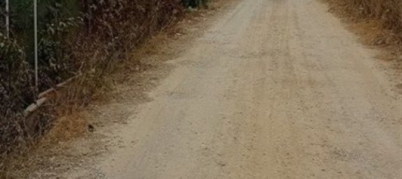  Land in Alghero, Italy No. 347980 16