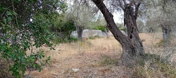  Land in Alghero, Italy No. 347980 5