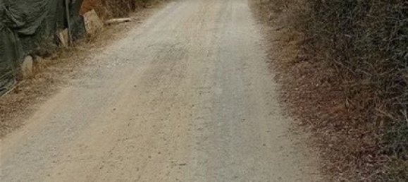  Land in Alghero, Italy No. 347980 14