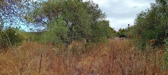  Land in Alghero, Italy No. 347980 12