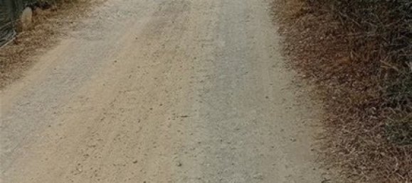  Land in Alghero, Italy No. 347980 15