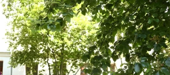 2 Schlafzimmer Wohnung in Weißensee, Germany, Nr. 88161 3