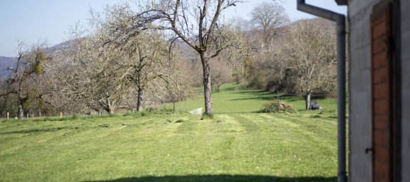 4 غرف نوم تاون هاوس في Lutter, France رقم 93413 2