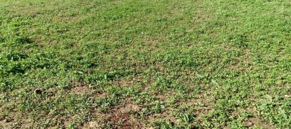 1-Zimmer Grundstück in Spinetoli, Italy, Nr. 102833 4