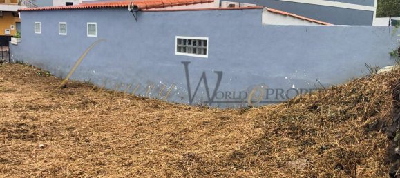  قطعة أرض في Tenerife, Spain رقم 162653 5