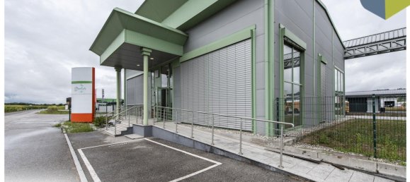 Propriété commerciale à Perg, Austria 198m² No. 129370 2