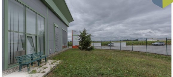 Propriété commerciale à Perg, Austria 198m² No. 129370 6