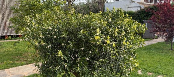  Land in Andalusia, Spain No. 159278 24